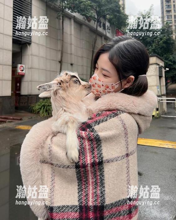 妮是老虎 微密圈 - 妮是老虎最新作品——女仆装,我的天,这套颜色太绝了!